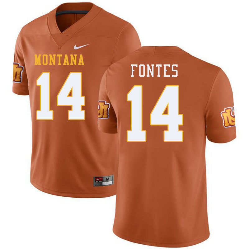 Montana Grizzlies #14 Aaron Fontes College Football Jerseys Stitched Sale-Throwback